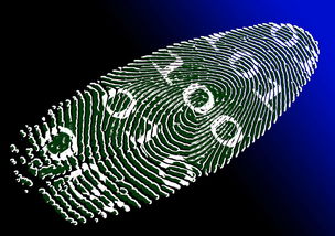 关于科技前沿的新闻：AI、量子计算、生物科技与新能源最新突破，助你轻松掌握未来趋势